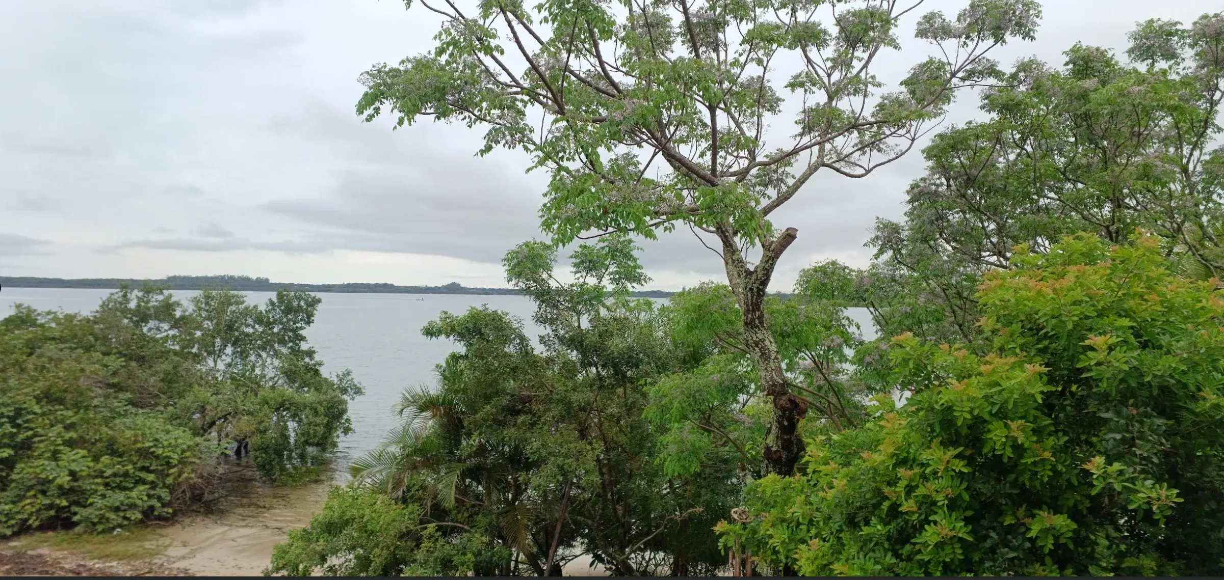 Vista para a baía a partir do apartamento